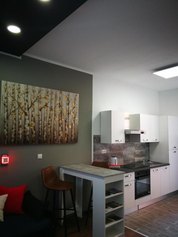 Griva Apartment Zadar